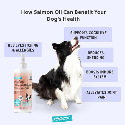 Yumwoof Perfect Salmon OIl