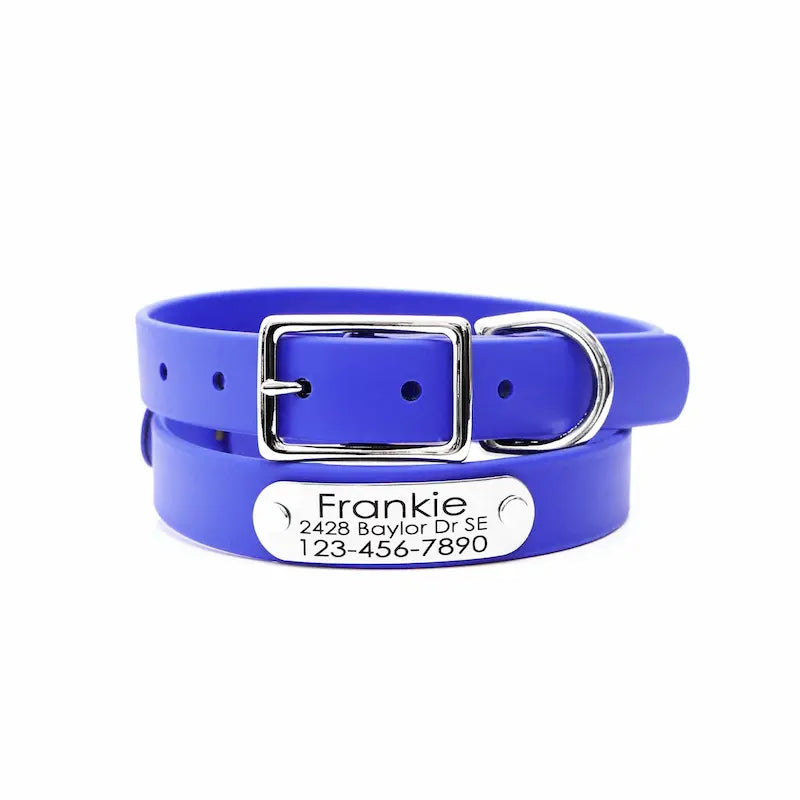 Waterproof Belt Buckle Collar in Cobalt Blue